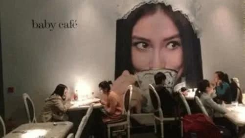 明星餐饮爆料事件视频,揭秘娱乐圈背后的奢华与争议